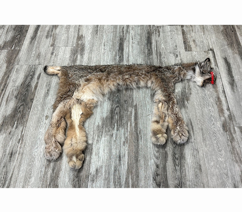 DRESSED SKIN - LYNX - #0000951