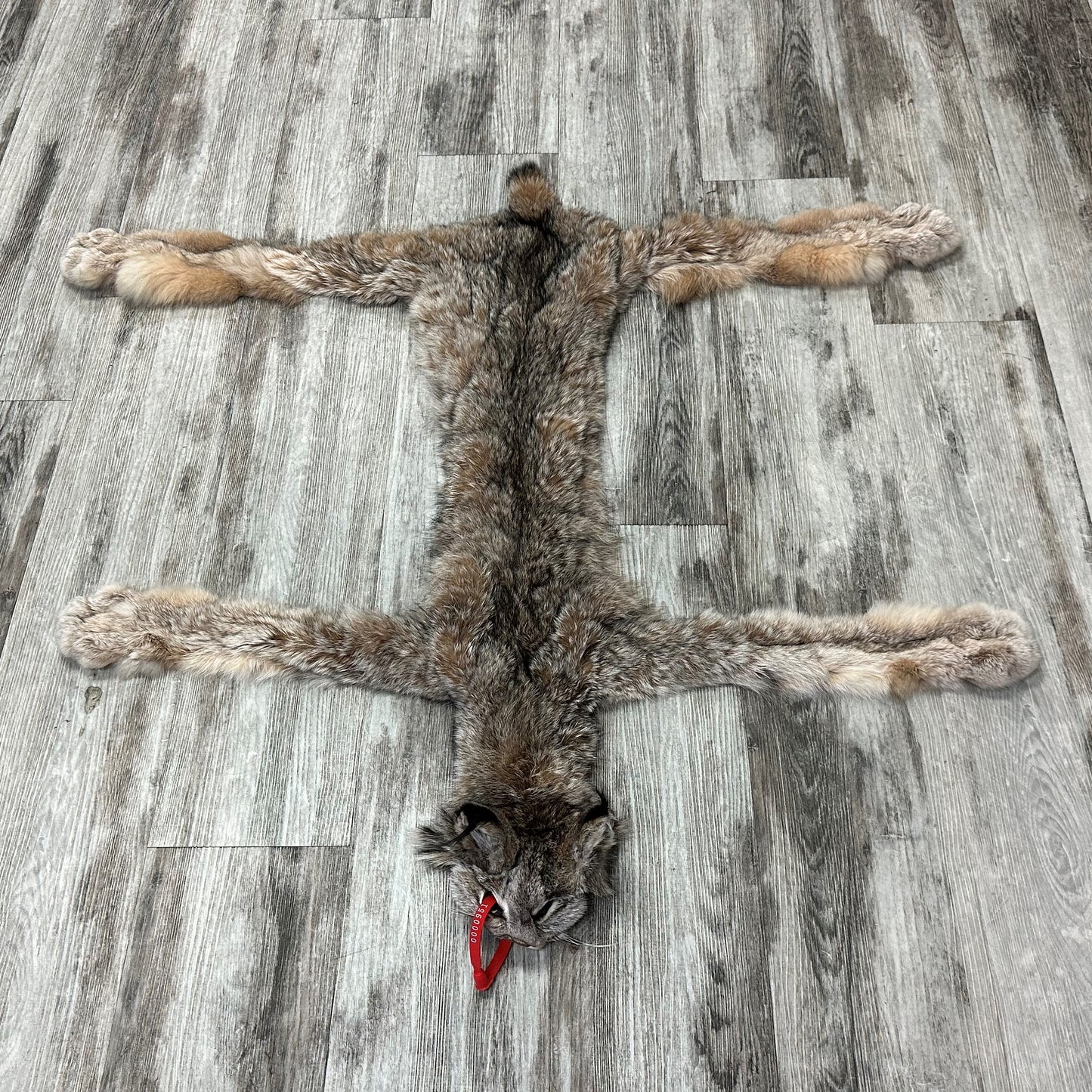 DRESSED SKIN - LYNX - #0000951