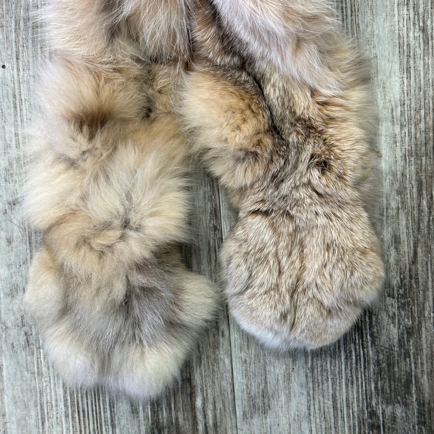 PEAU - LYNX #0000953