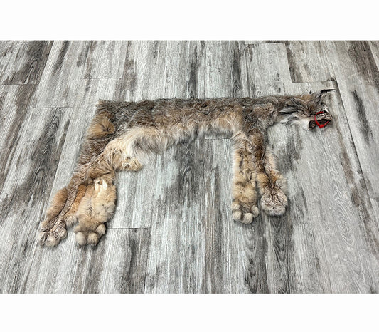 DRESSED SKIN - LYNX - #0000953