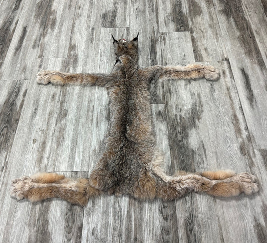 PEAU - LYNX #0000953