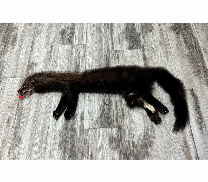 PEAU - PEKAN #0000956