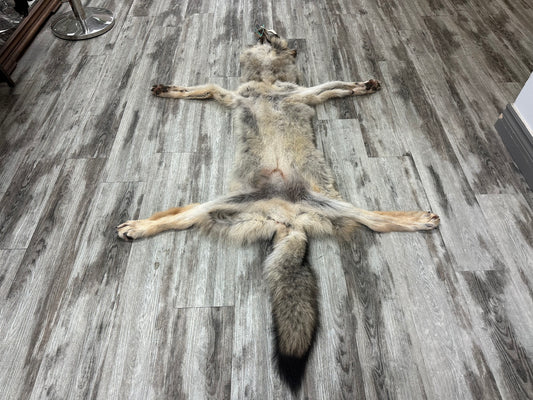 Peau - Loup des bois #0001001