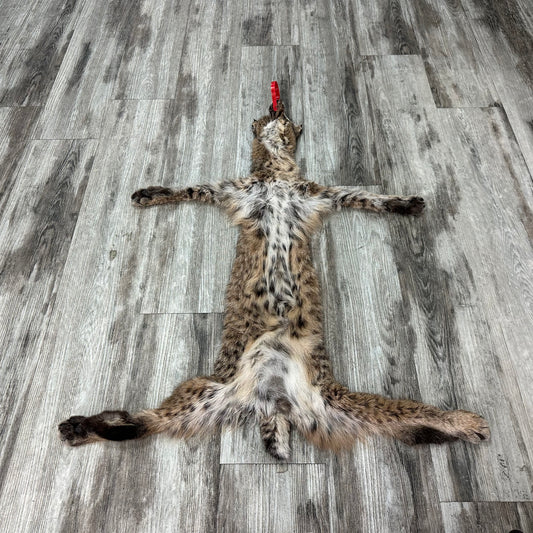 Peau - Bobcat #0001014