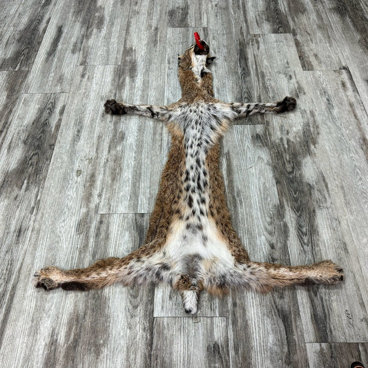 Peau - Bobcat #0001015