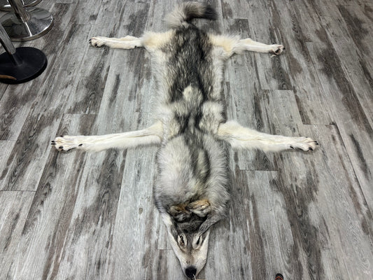 Peau - Loup Arctique #0001300