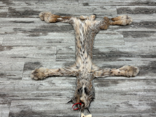 Peau - Lynx #0001362