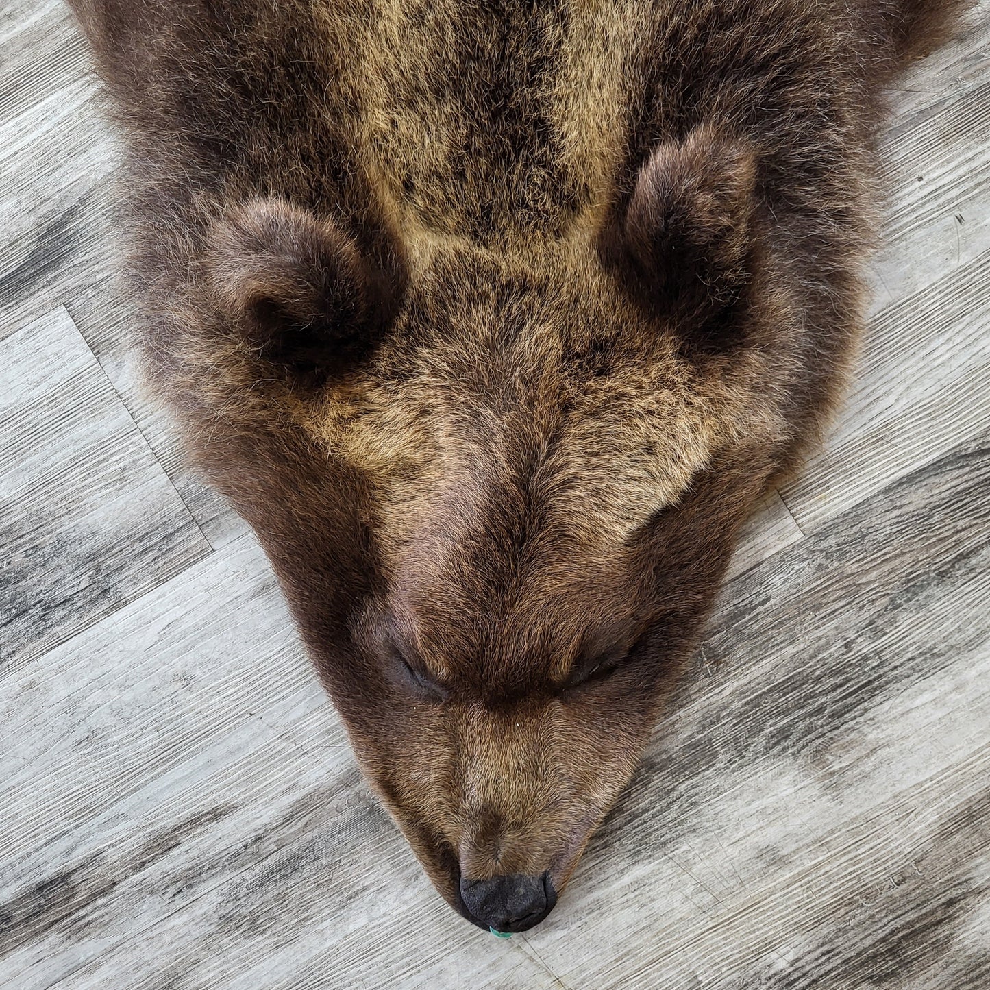 DRESSED SKIN - GRIZZLY - #002310