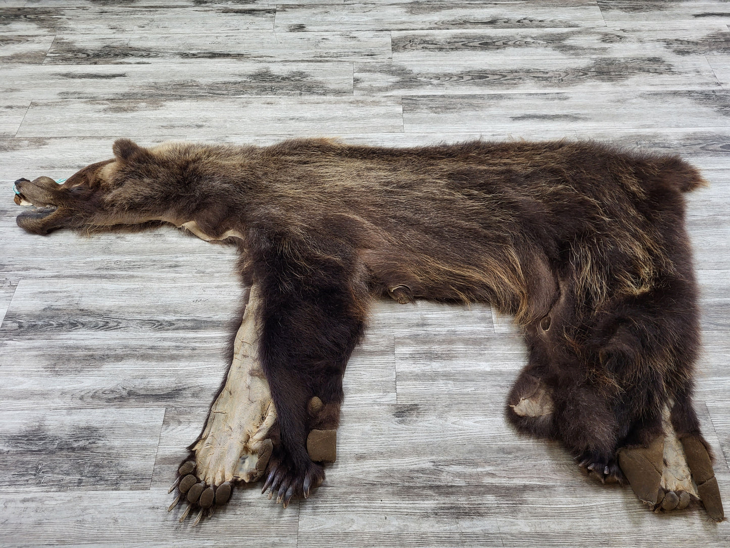 DRESSED SKIN - GRIZZLY - #002310