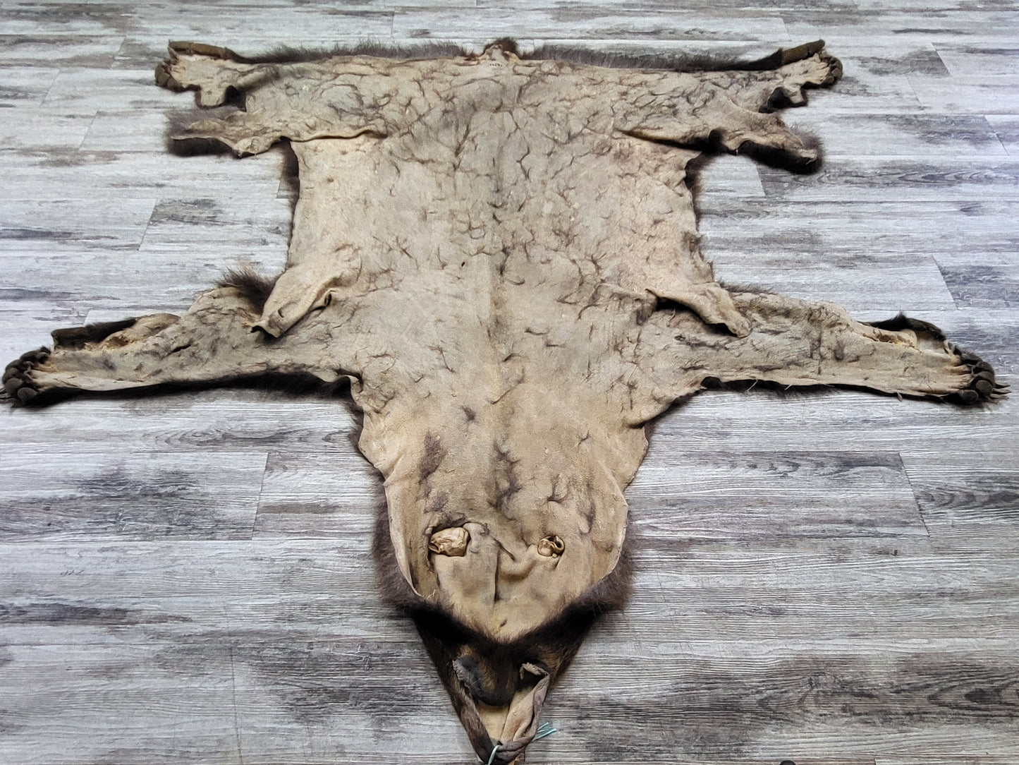 DRESSED SKIN - GRIZZLY - #002310