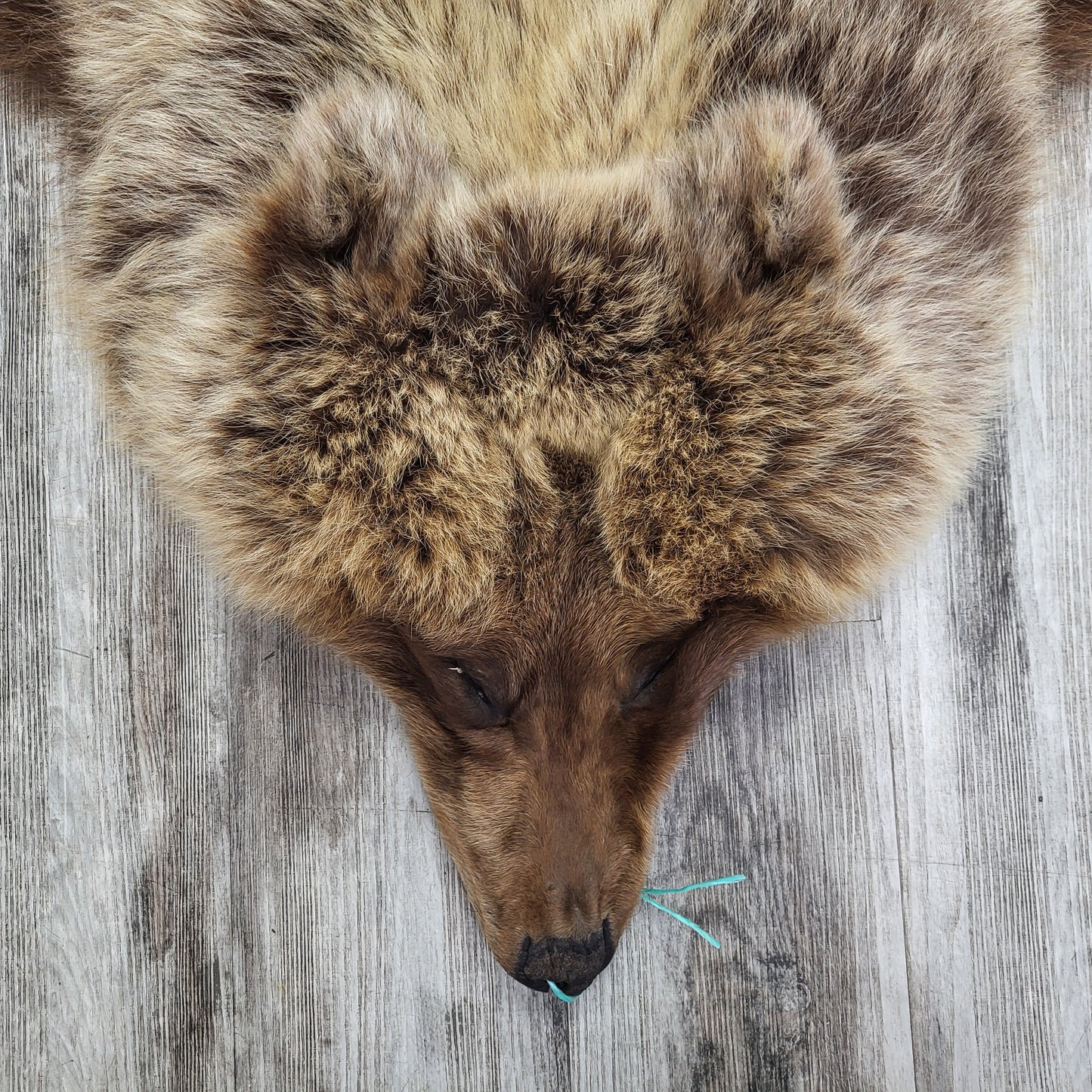 DRESSED SKIN - GRIZZLY - #04075