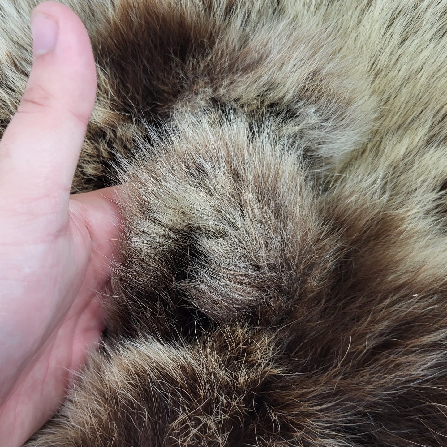 DRESSED SKIN - GRIZZLY - #04075