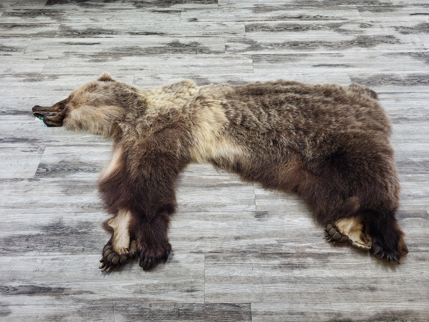 DRESSED SKIN - GRIZZLY - #04075