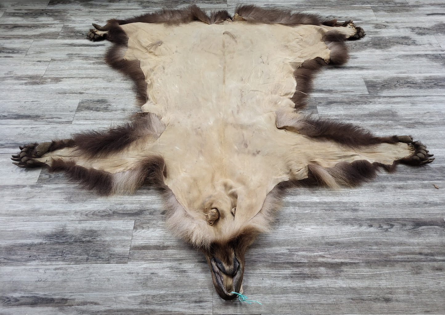 DRESSED SKIN - GRIZZLY - #04075
