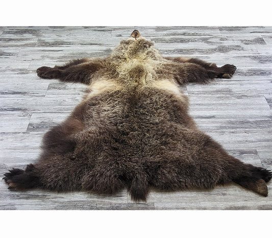 DRESSED SKIN - GRIZZLY - #04075