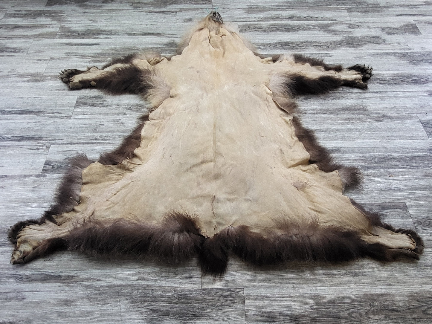 DRESSED SKIN - GRIZZLY - #04075