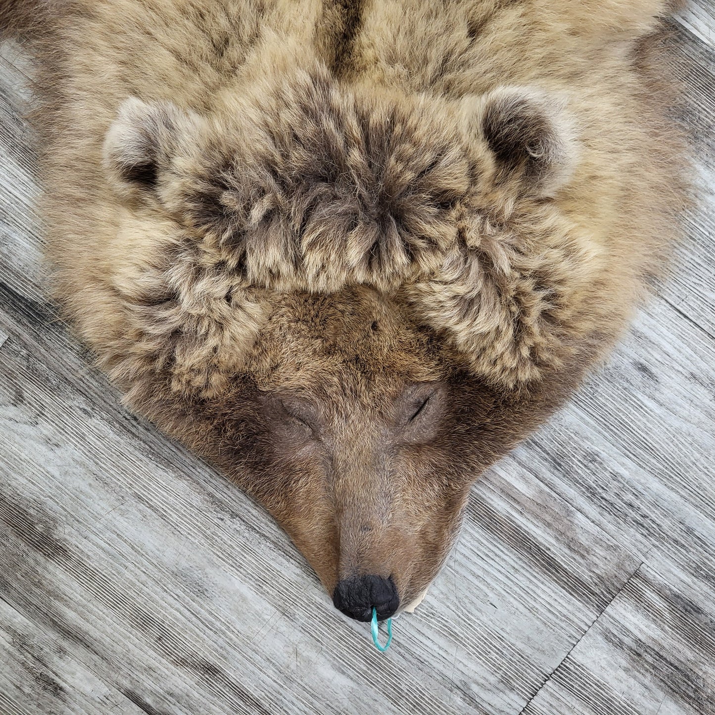 DRESSED SKIN - GRIZZLY - #002537