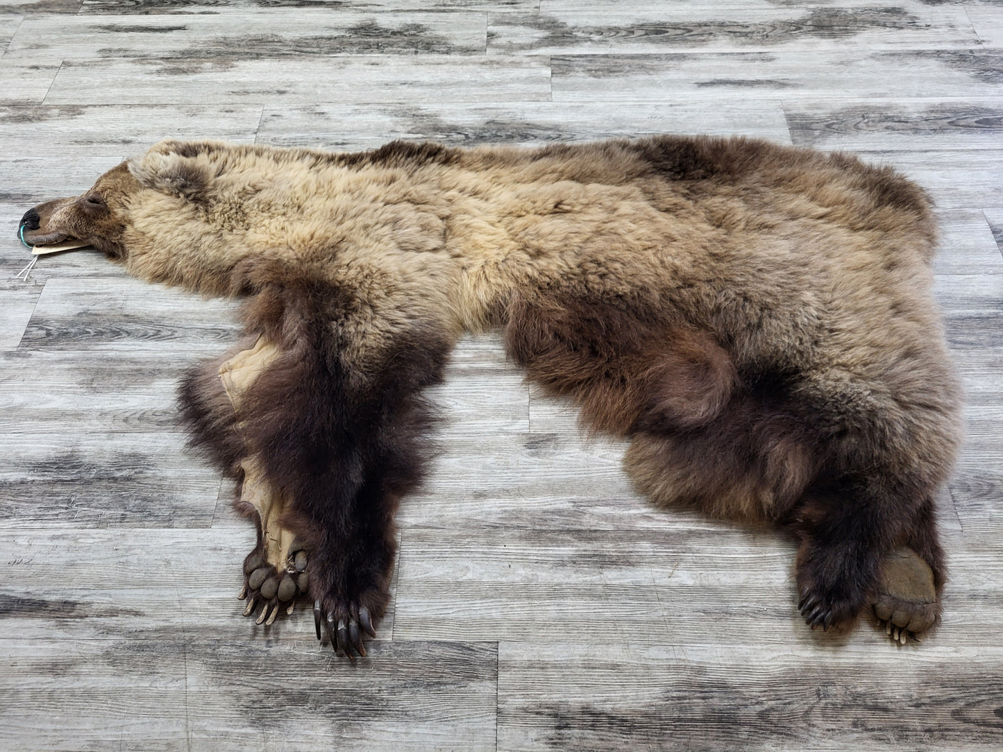 DRESSED SKIN - GRIZZLY - #002537