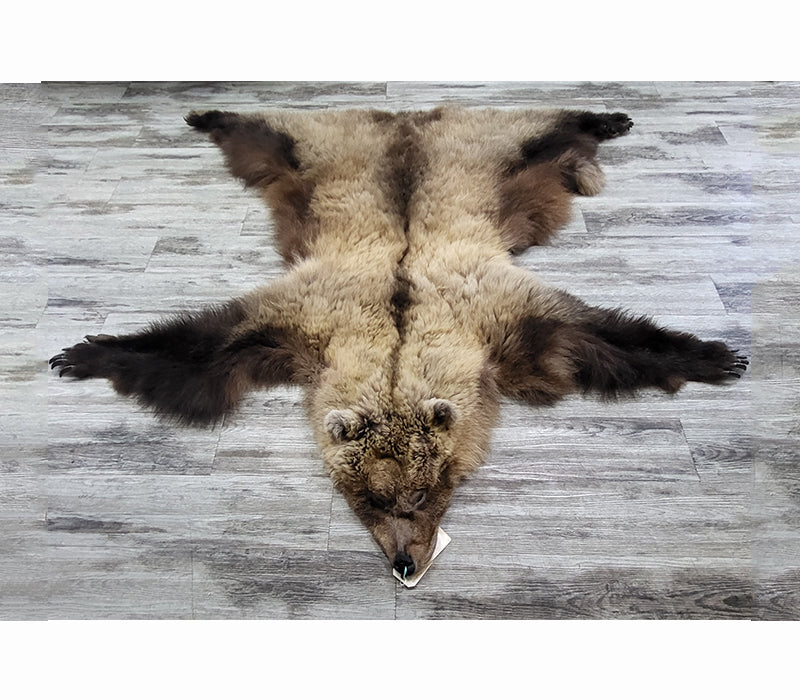 DRESSED SKIN - GRIZZLY - #002537