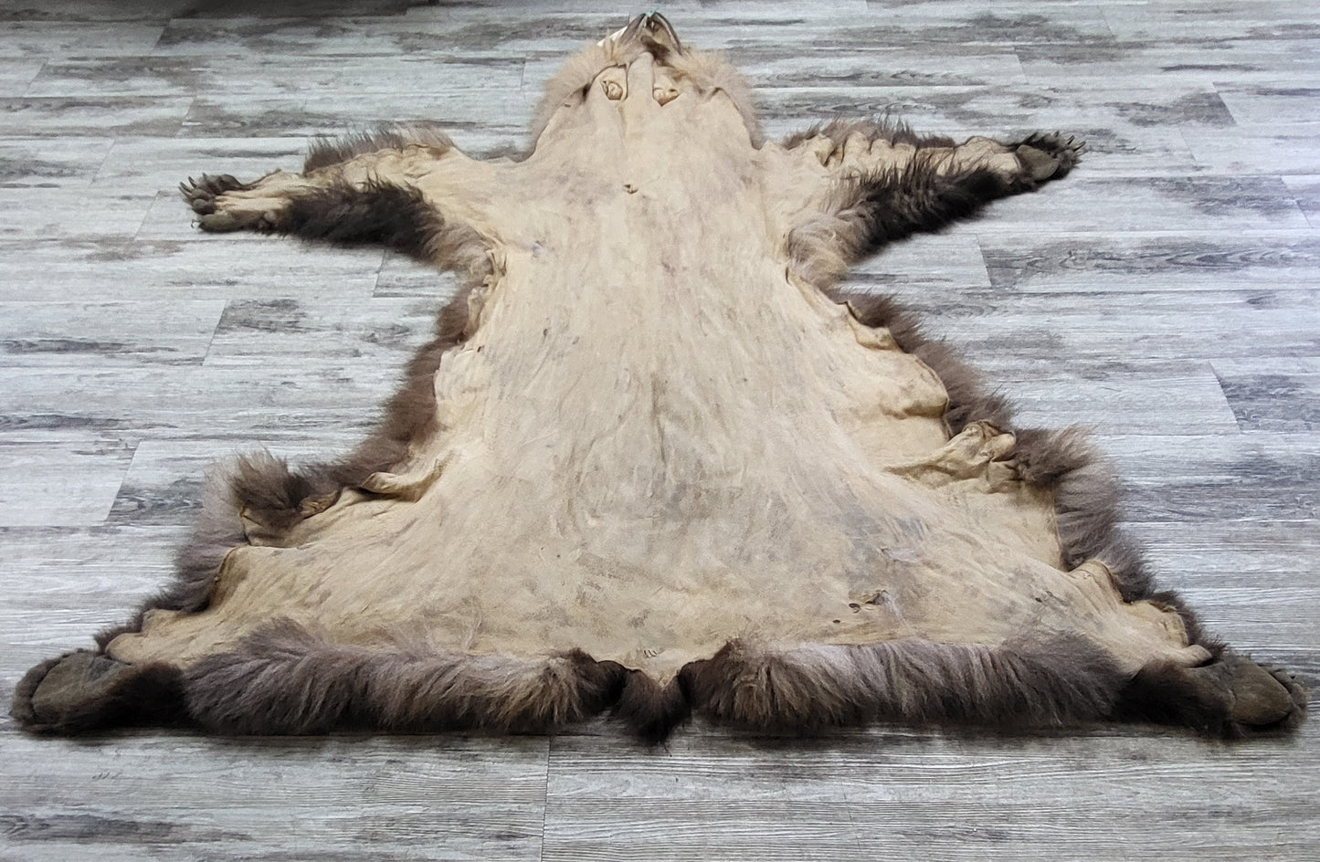 DRESSED SKIN - GRIZZLY - #002537