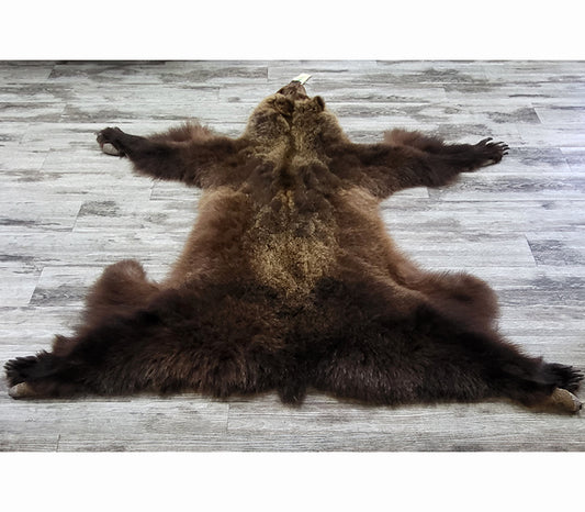 DRESSED SKIN - GRZZLY - #002535