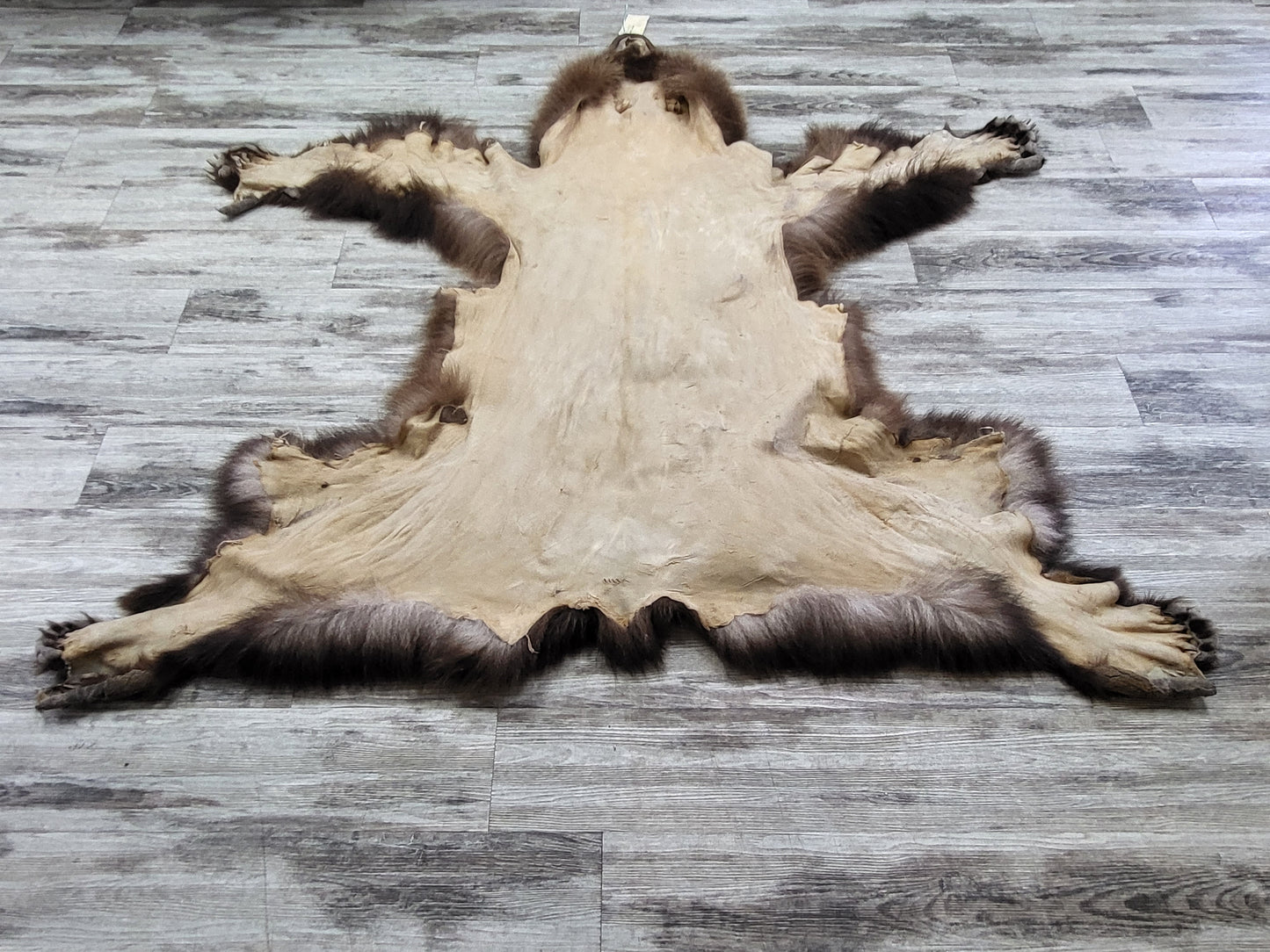 DRESSED SKIN - GRZZLY - #002535
