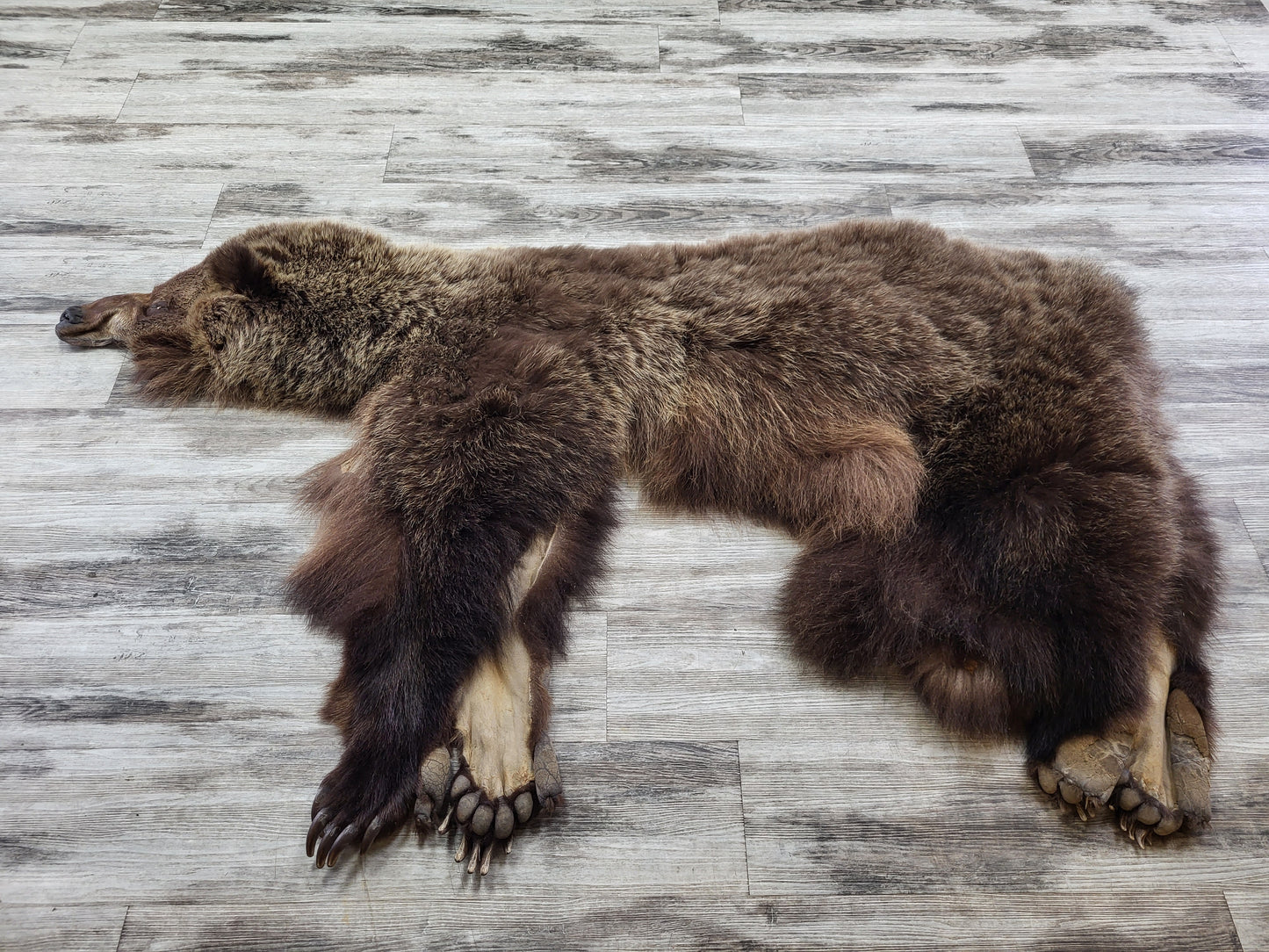 PEAU - GRIZZLY #002538