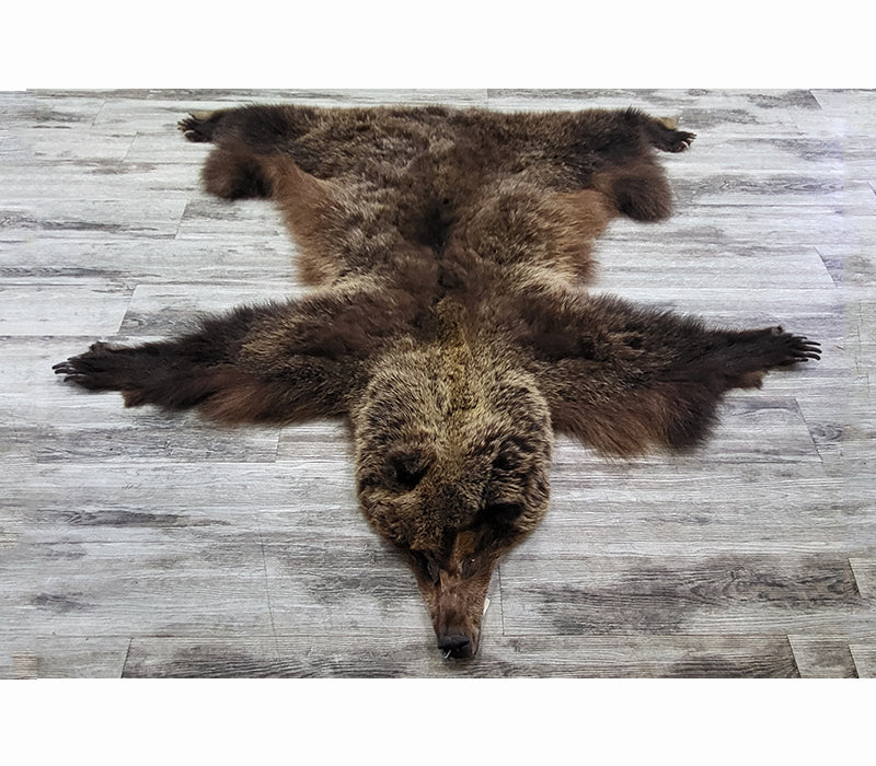 PEAU - GRIZZLY #002538