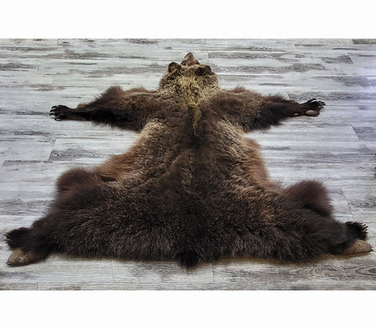 DRESSED SKIN - GRIZZLY - #002538