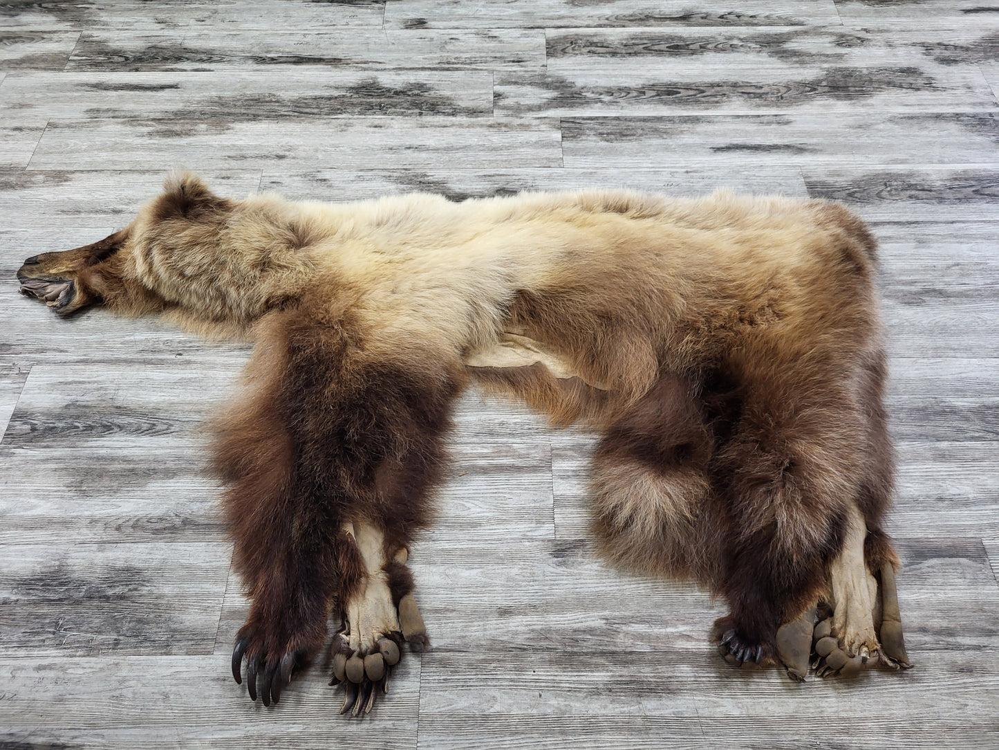DRESSED SKIN - GRIZZLY - #002542