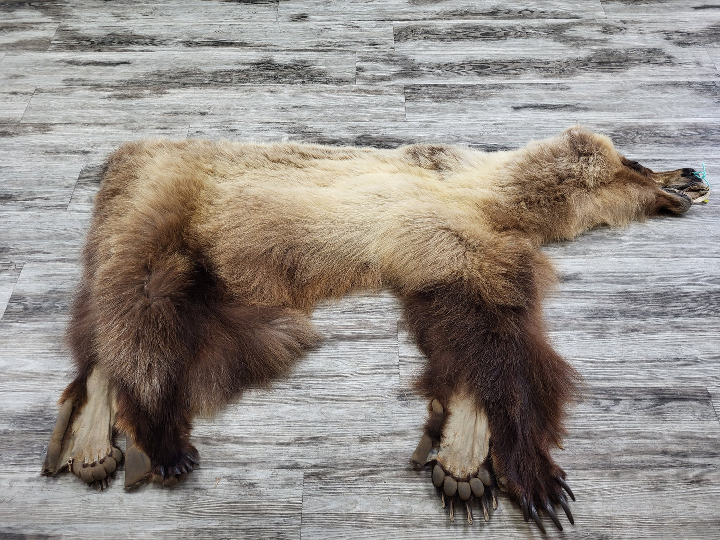 DRESSED SKIN - GRIZZLY - #002542