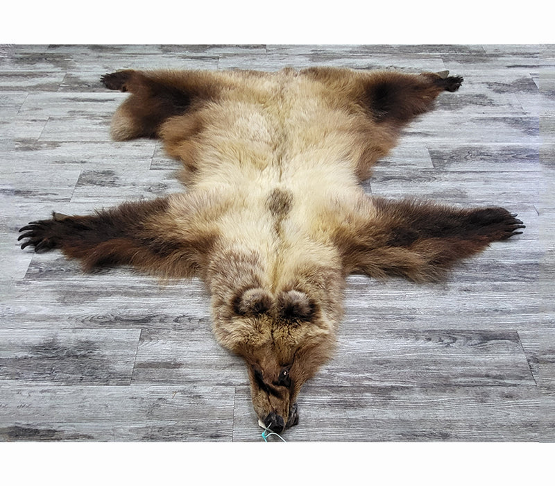 DRESSED SKIN - GRIZZLY - #002542