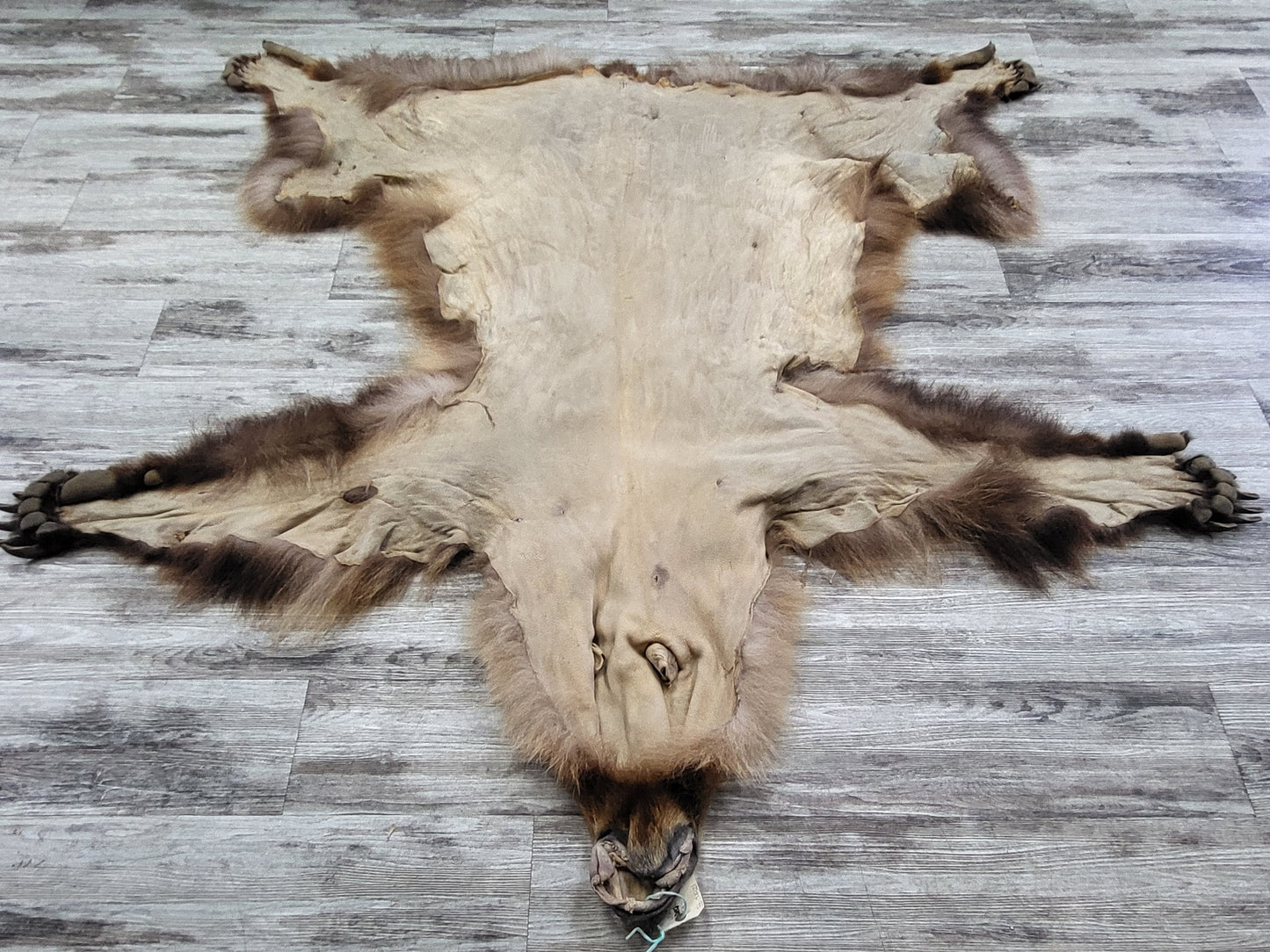 DRESSED SKIN - GRIZZLY - #002542