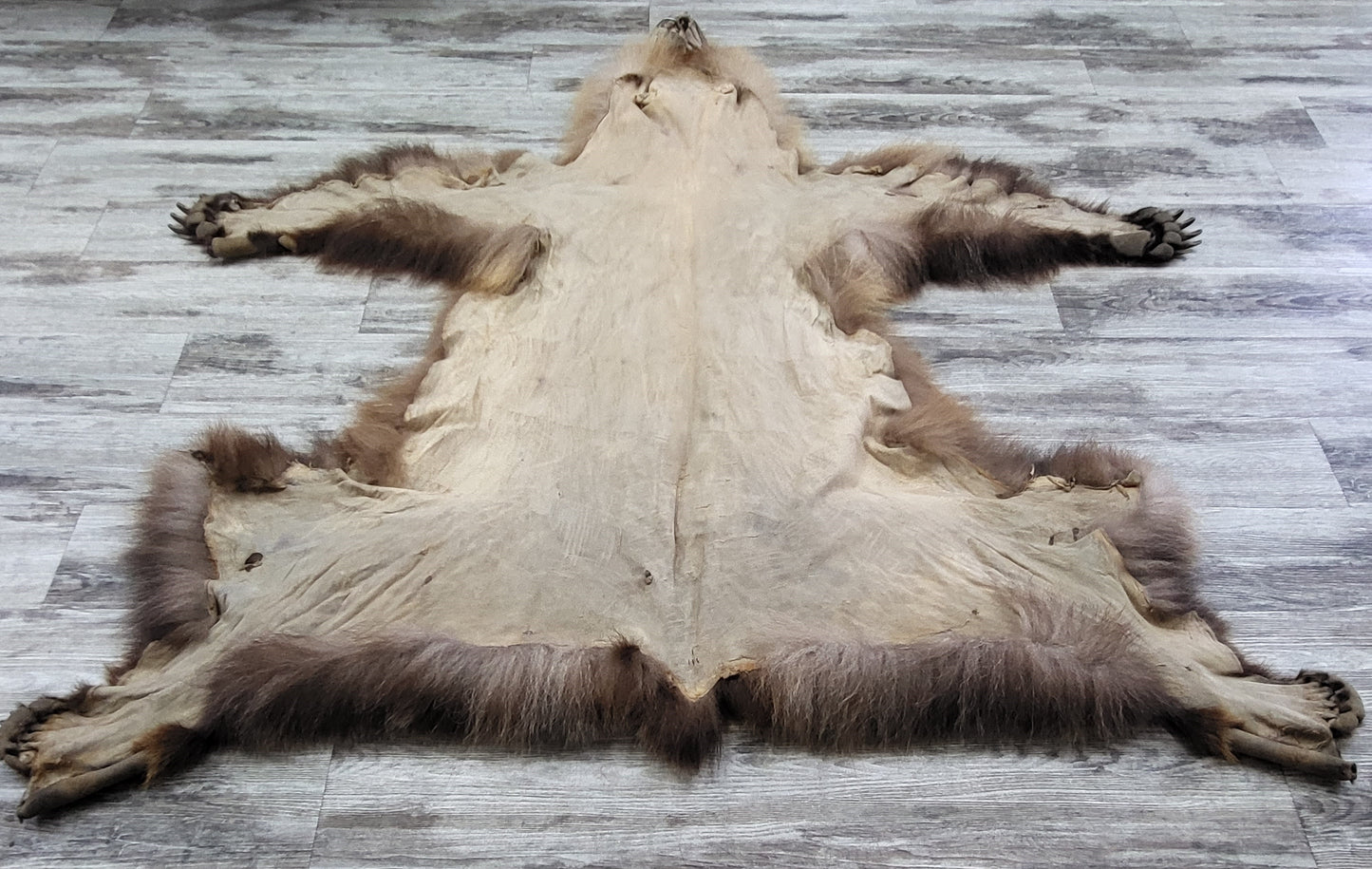 DRESSED SKIN - GRIZZLY - #002542