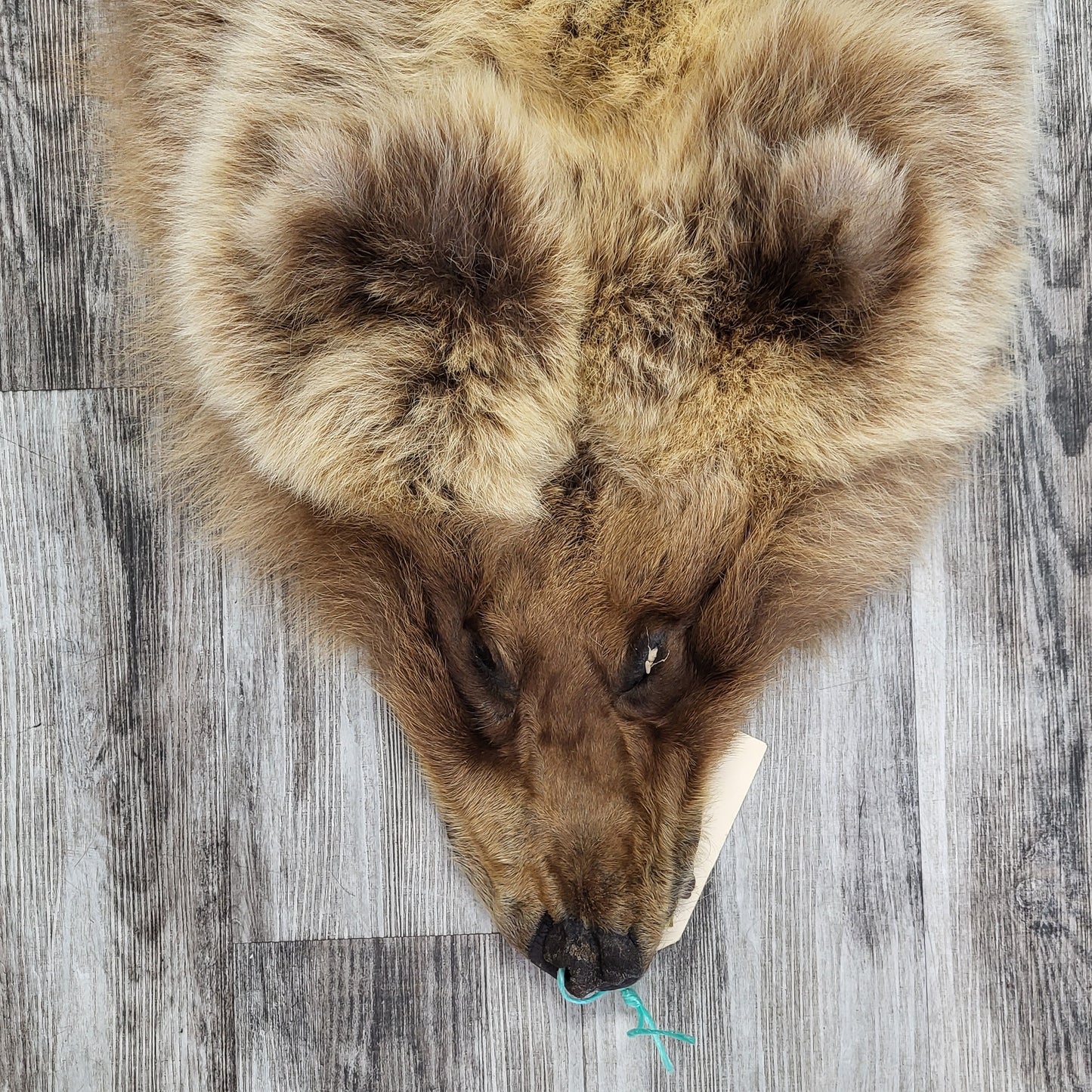 DRESSED SKIN - GRIZZLY - #002542