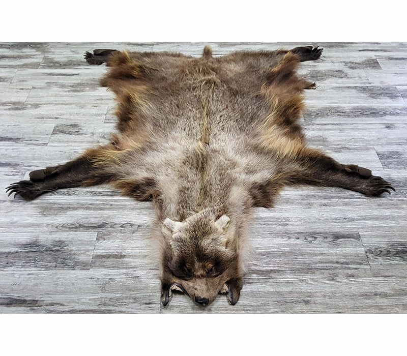 DRESSED SKIN - GRIZZLY - #002603