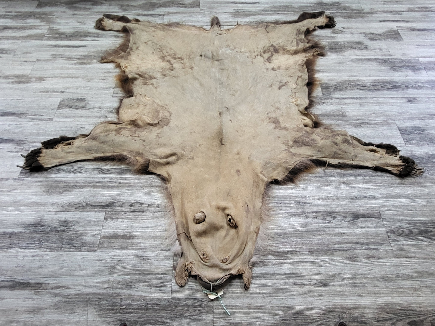 DRESSED SKIN - GRIZZLY - #002603