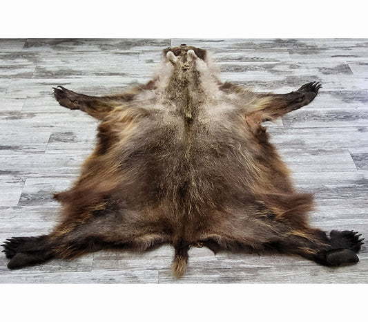 DRESSED SKIN - GRIZZLY - #002603