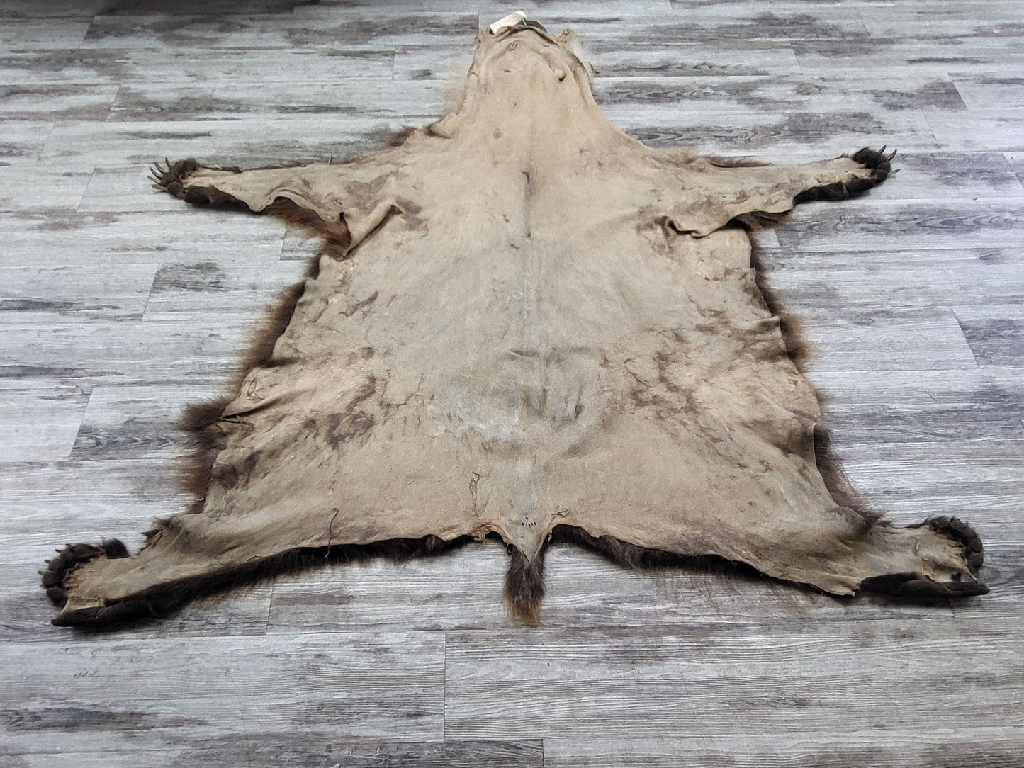 DRESSED SKIN - GRIZZLY - #002603