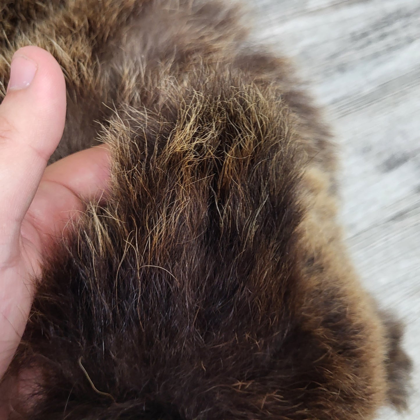DRESSED SKIN - GRIZZLY - #002602