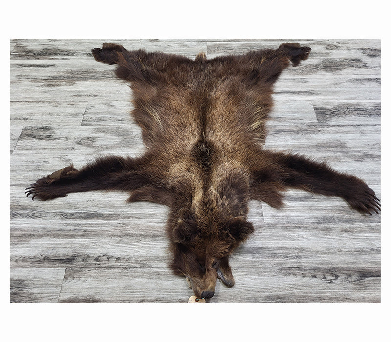 DRESSED SKIN - GRIZZLY - #002602