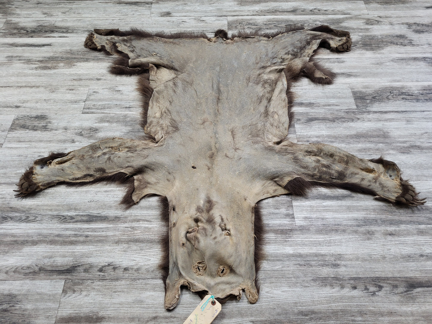 DRESSED SKIN - GRIZZLY - #002602