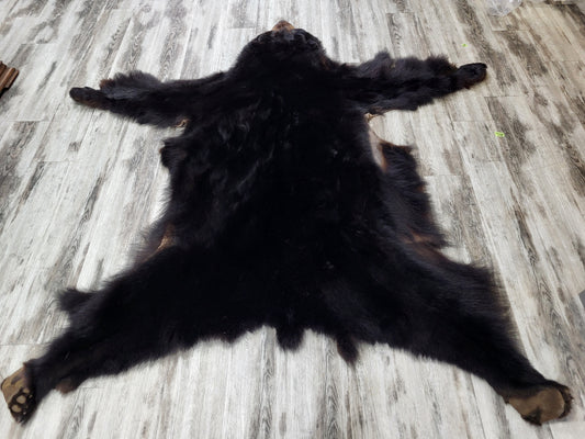 Peaux - Ours Noir #0000814