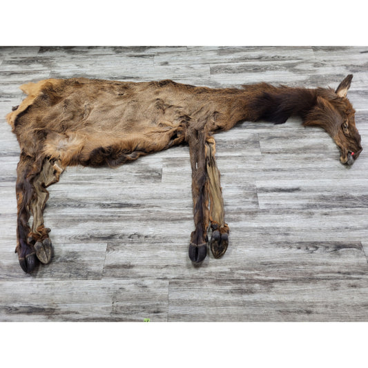 DRESSED SKIN ELK #0000035