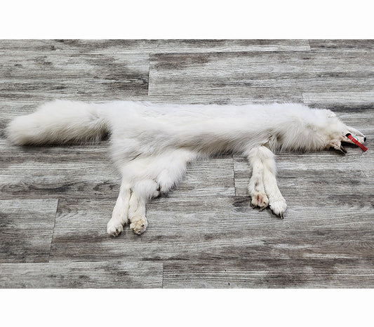 DRESSED SKIN - ARCTIC FOX - #0000813