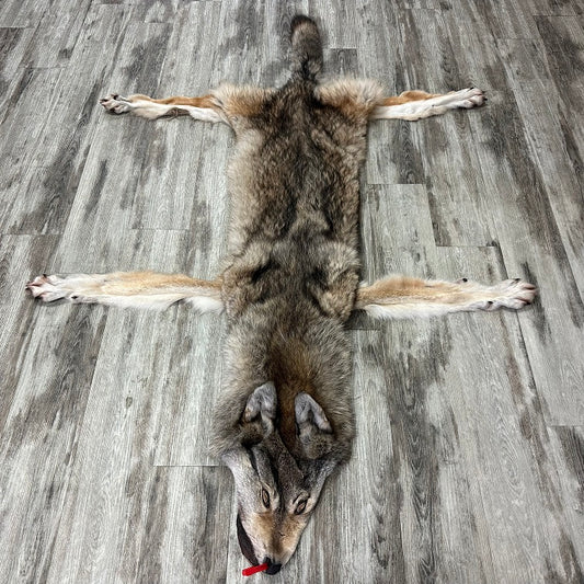 Peau - Loup des bois #0001048