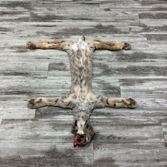 Peau - Lynx #0001119