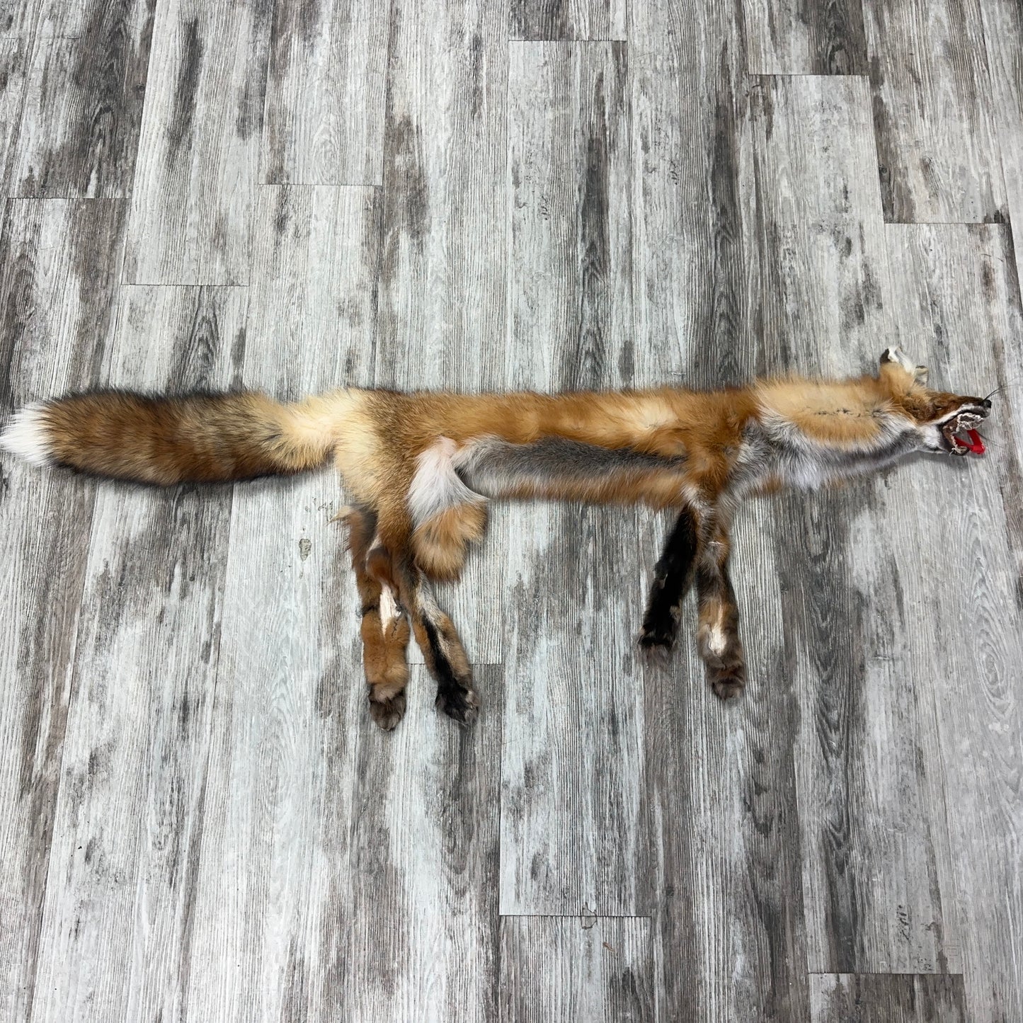 Dressed Skin - Red Fox #0001142