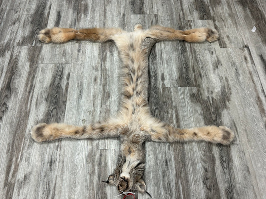 Peau - Lynx #0001154
