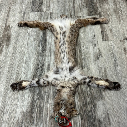 Peau - Bobcat #0001182
